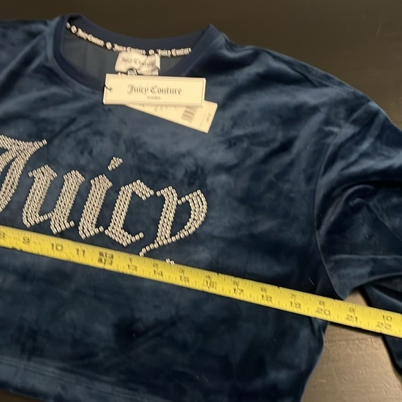 Juicy Couture Blue Velvet Cropped balloon sleeve Sweatshirt - Picture 4 of 5